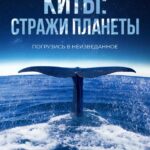 Киты: Стражи Планеты Постер